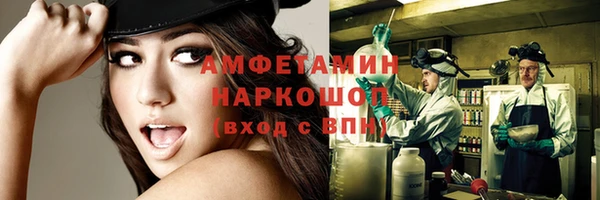 индика Козловка