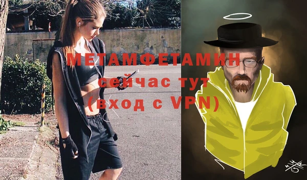 индика Козловка