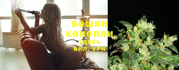 индика Козловка