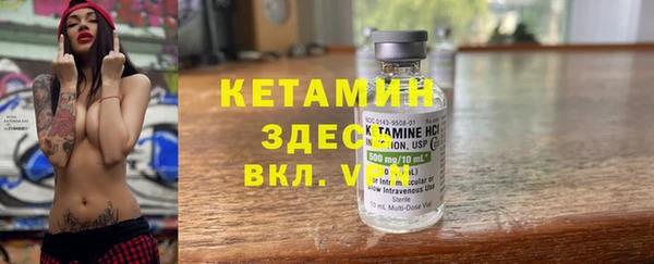 индика Козловка
