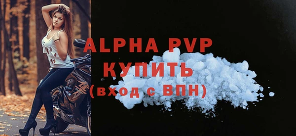 индика Козловка