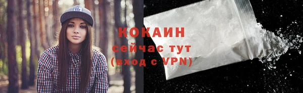 индика Козловка