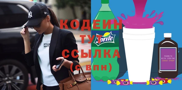 индика Козловка