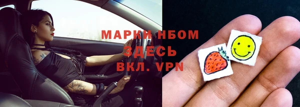 индика Козловка