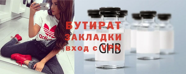 индика Козловка