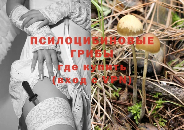 альфа пвп Кодинск