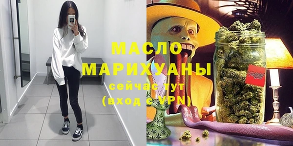 индика Козловка