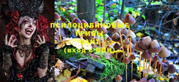 индика Козловка