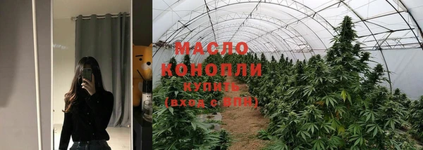 индика Козловка