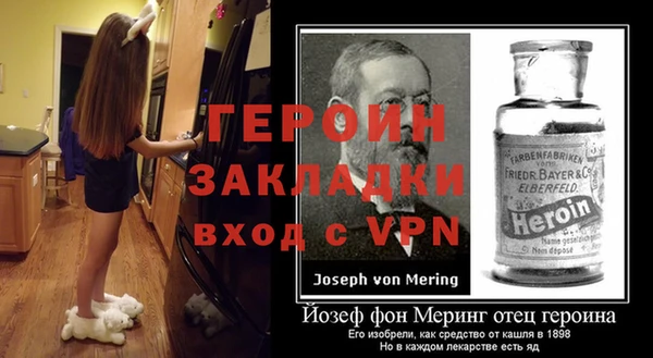 индика Козловка