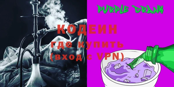 индика Козловка