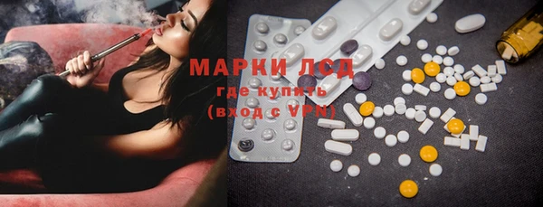 индика Козловка